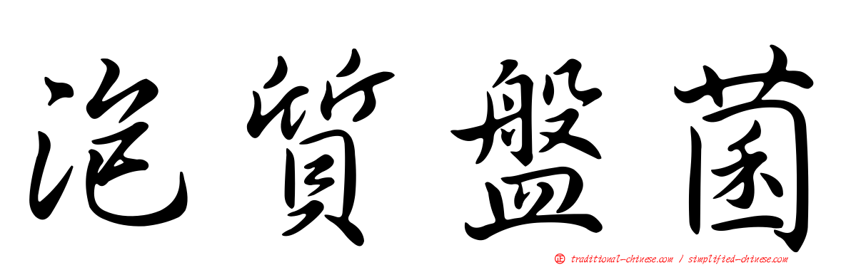 泡質盤菌