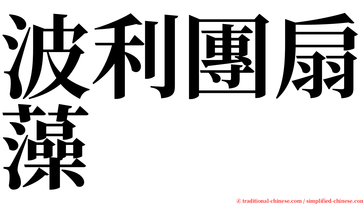 波利團扇藻 serif font