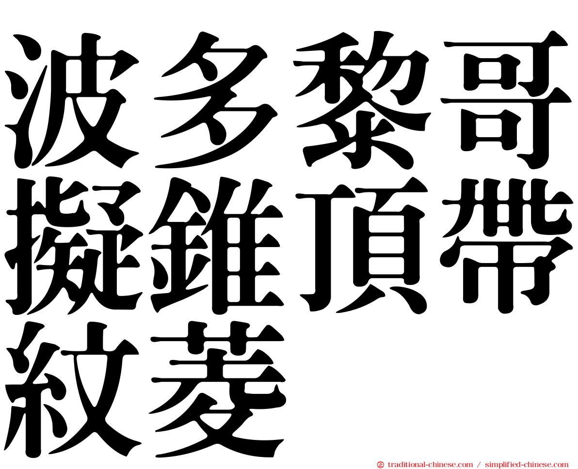 波多黎哥擬錐頂帶紋菱