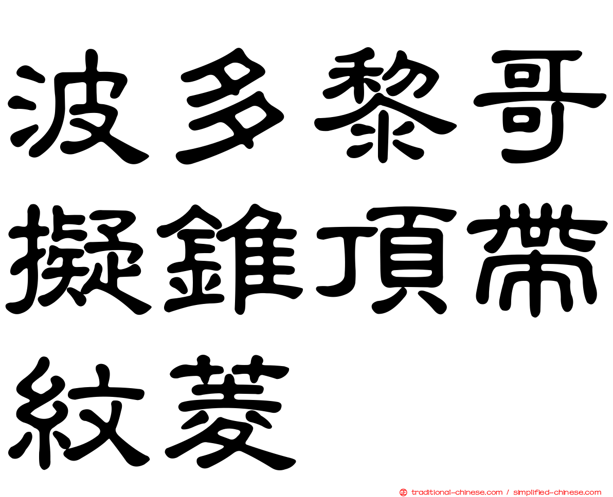 波多黎哥擬錐頂帶紋菱