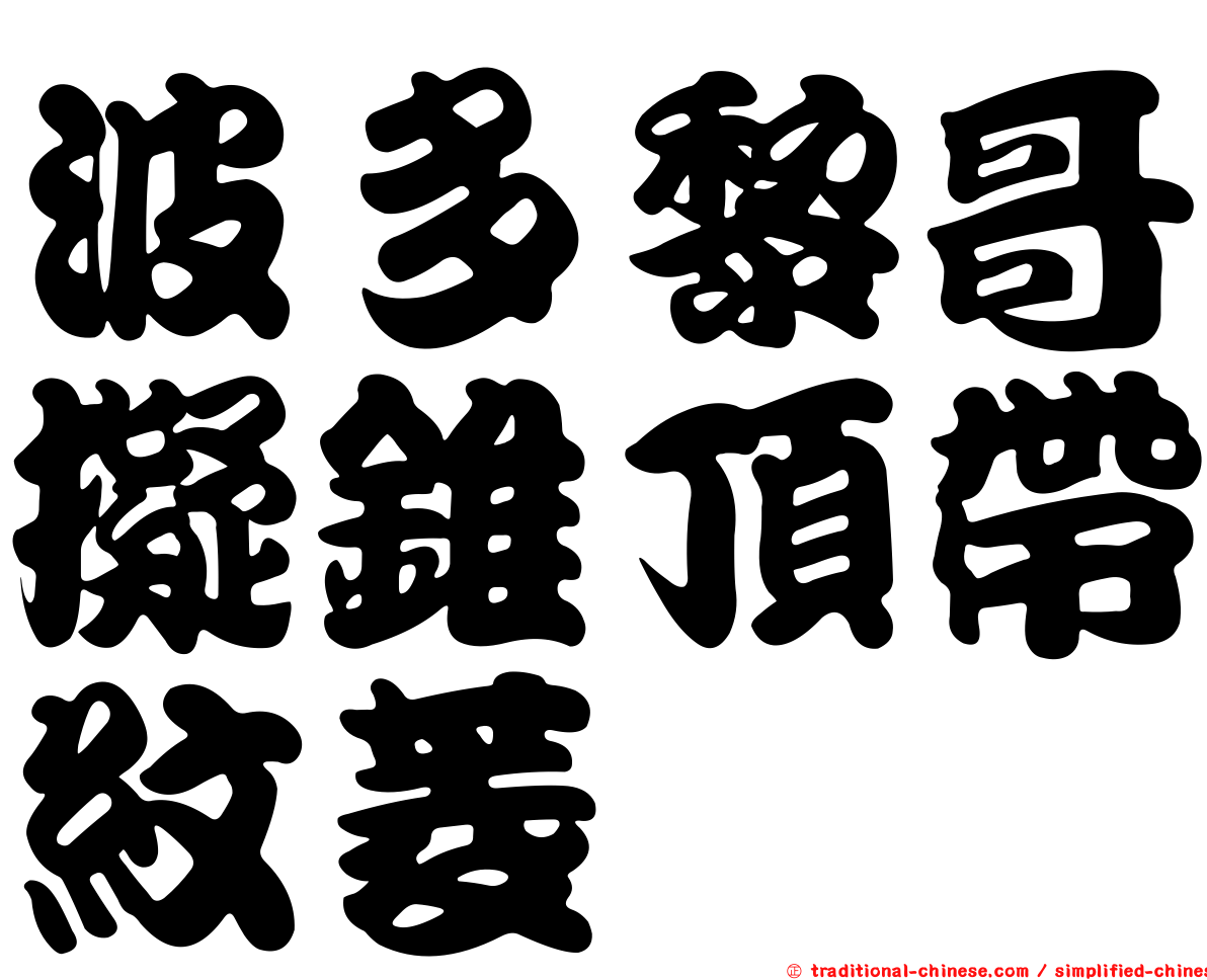 波多黎哥擬錐頂帶紋菱