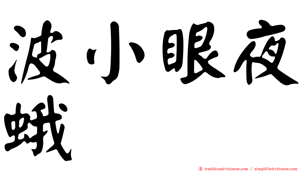 波小眼夜蛾