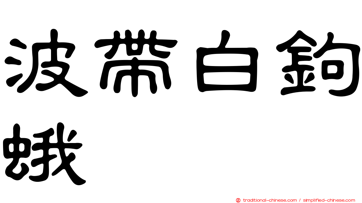 波帶白鉤蛾