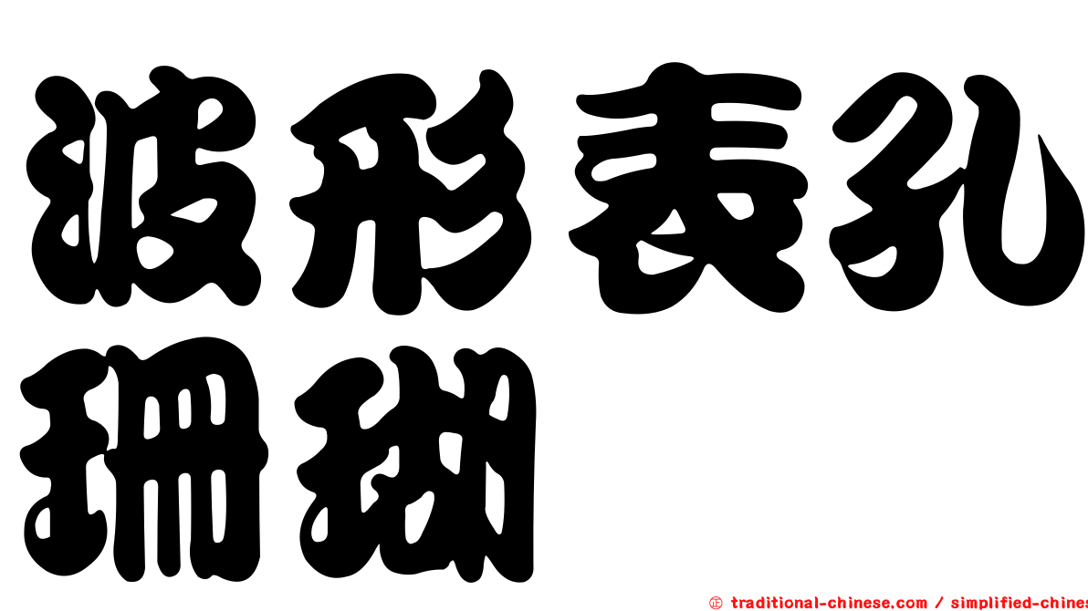 波形表孔珊瑚