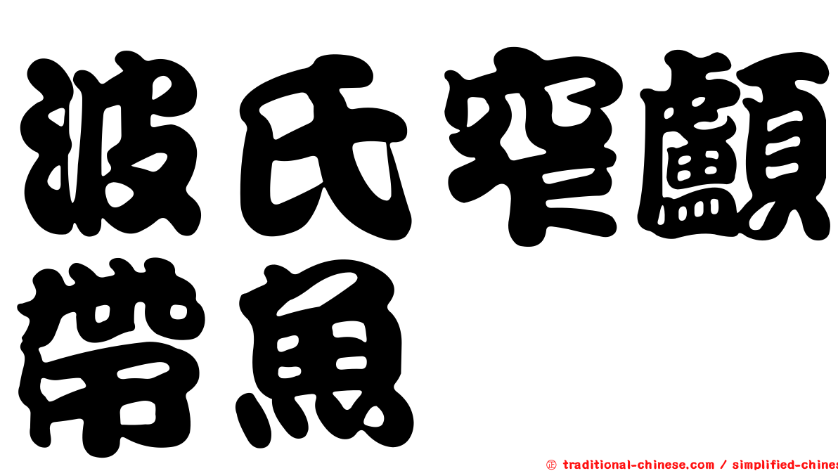 波氏窄顱帶魚