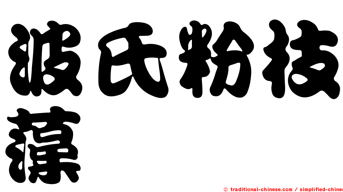波氏粉枝藻