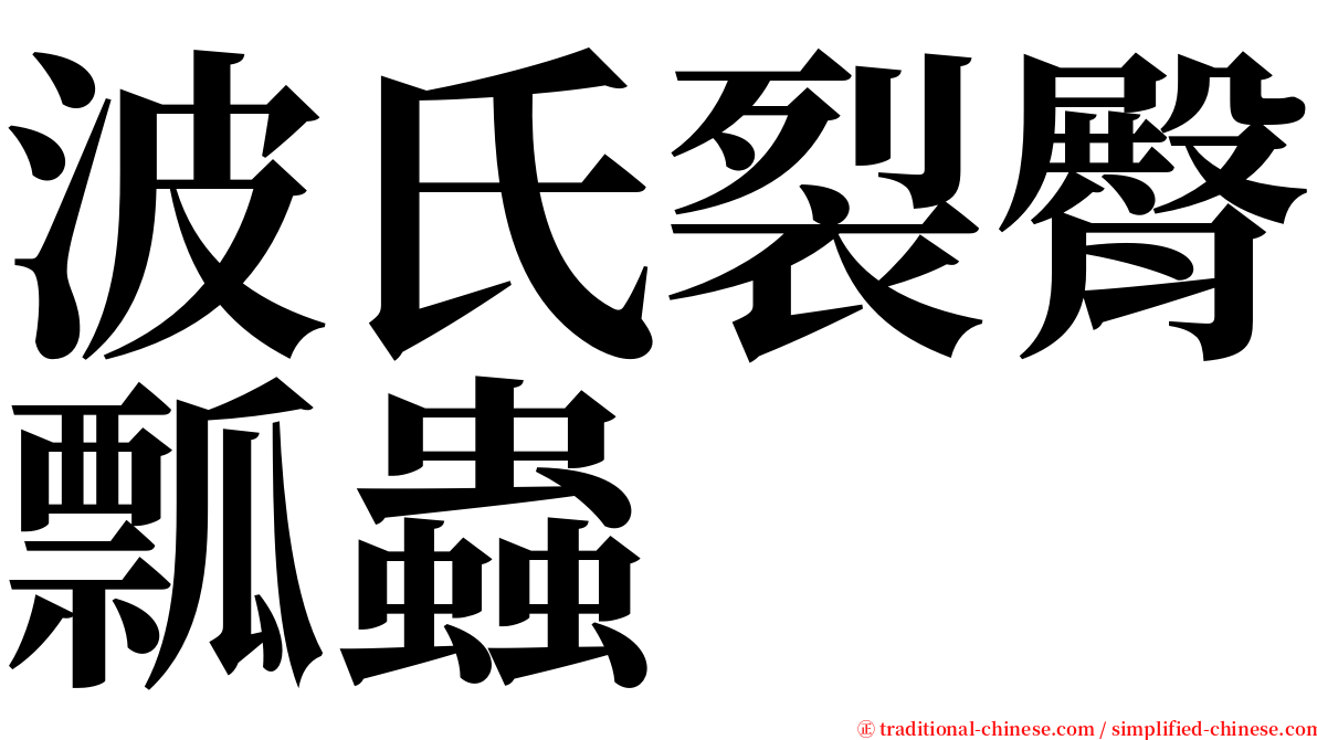 波氏裂臀瓢蟲 serif font