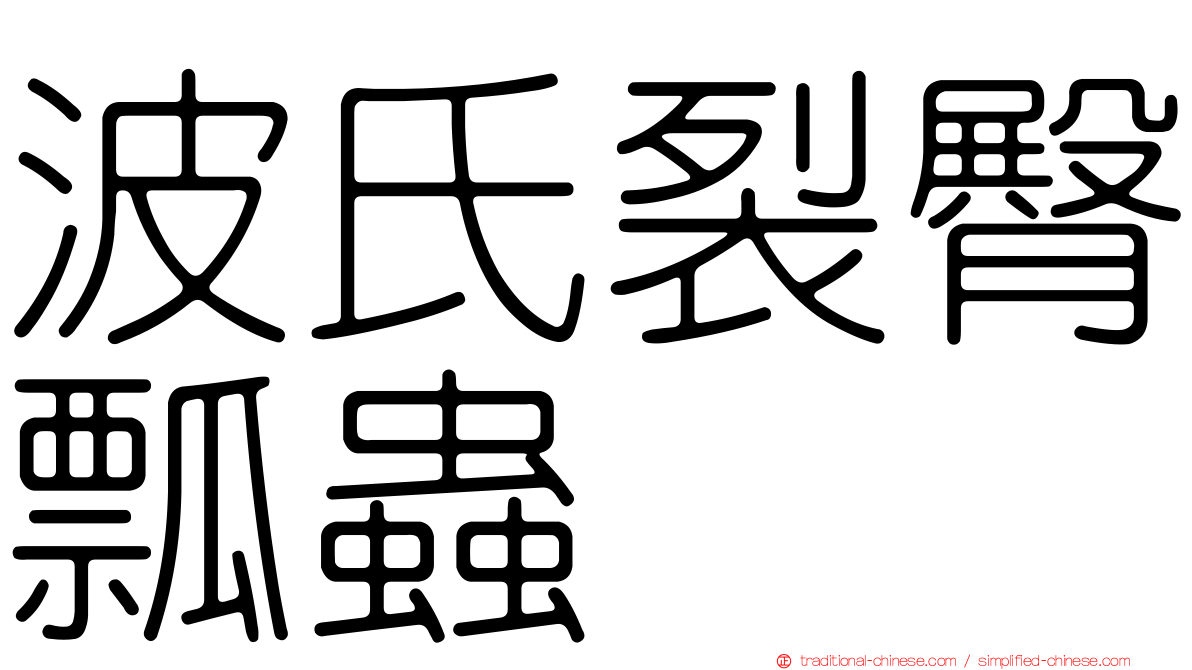 波氏裂臀瓢蟲