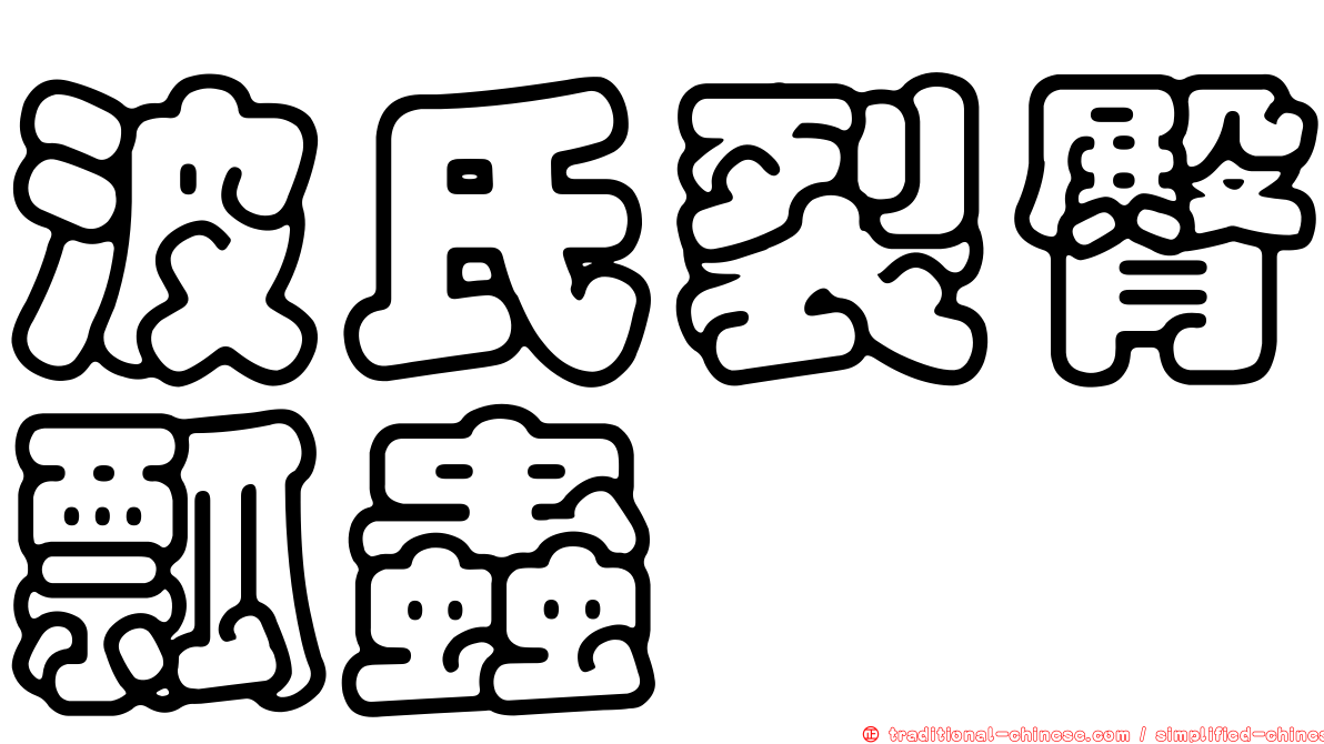 波氏裂臀瓢蟲