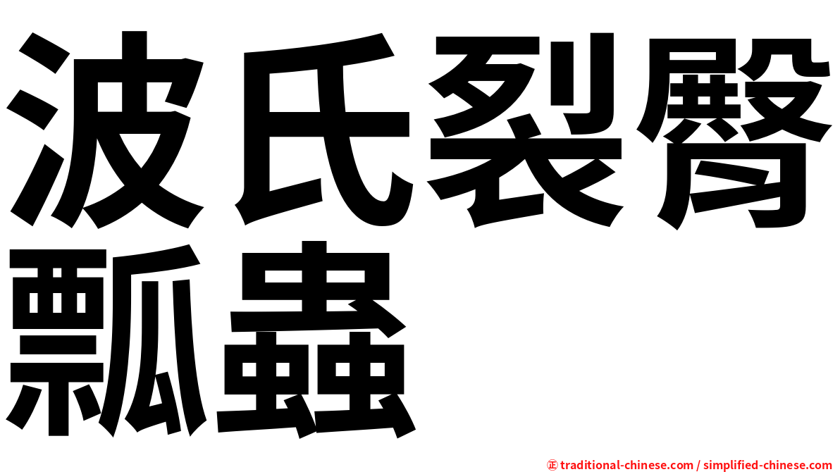 波氏裂臀瓢蟲