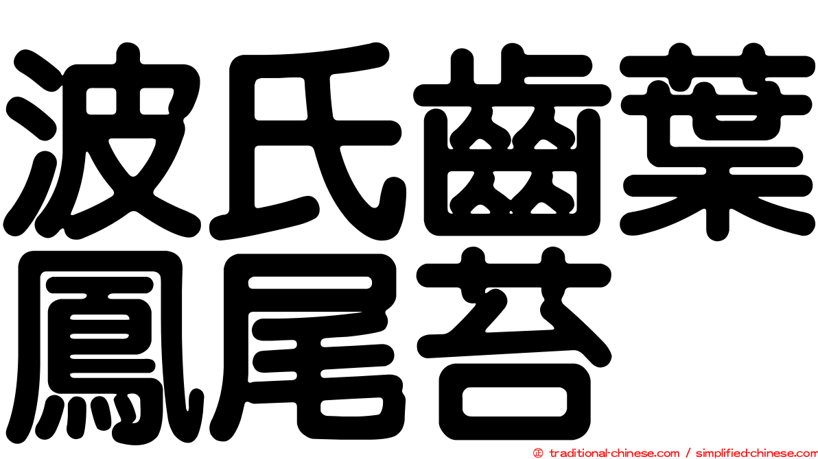 波氏齒葉鳳尾苔