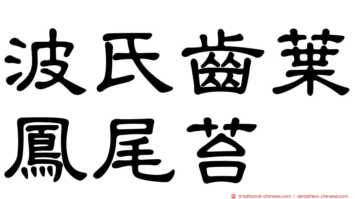 波氏齒葉鳳尾苔