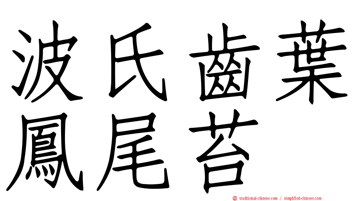 波氏齒葉鳳尾苔