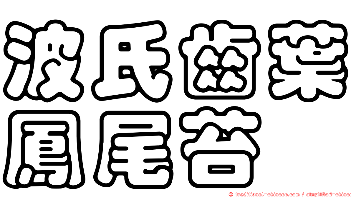 波氏齒葉鳳尾苔