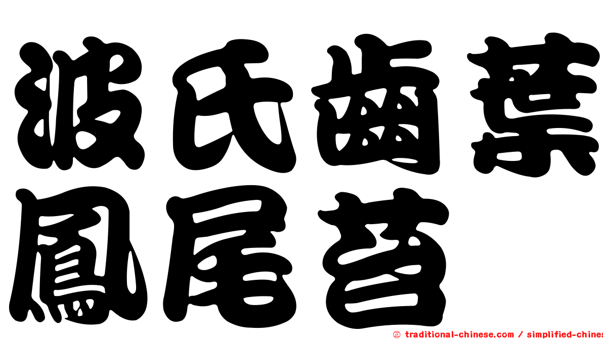波氏齒葉鳳尾苔