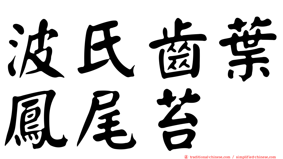 波氏齒葉鳳尾苔