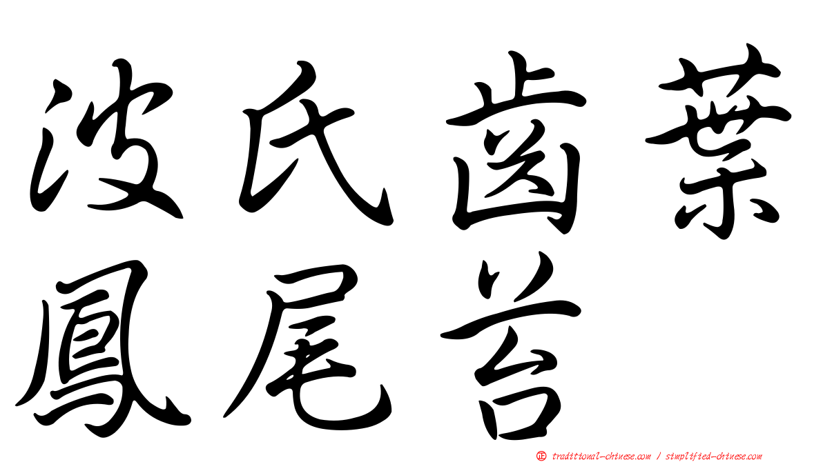 波氏齒葉鳳尾苔