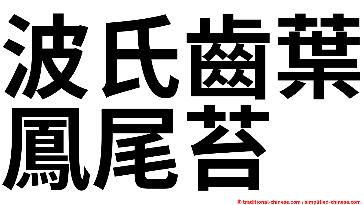 波氏齒葉鳳尾苔