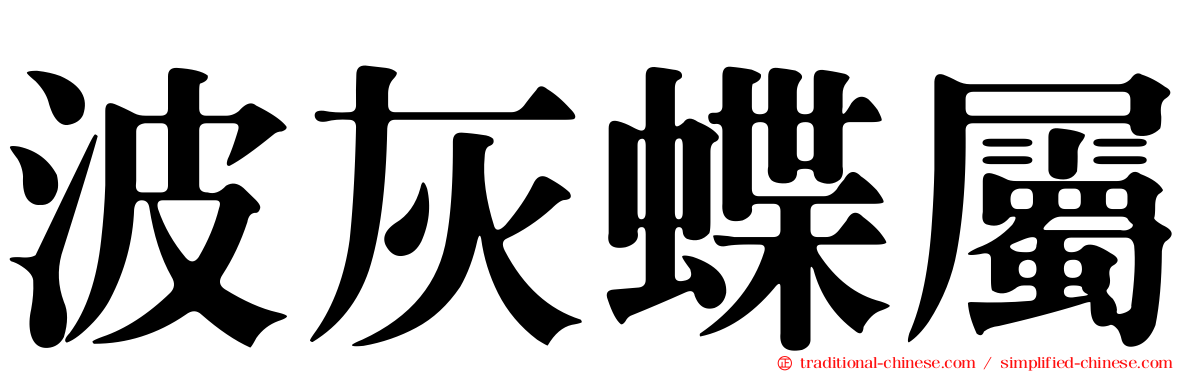 波灰蝶屬