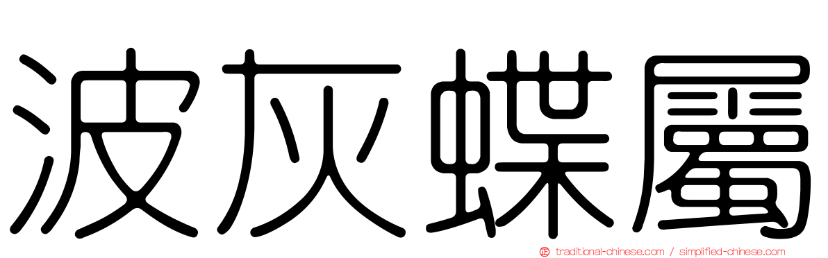 波灰蝶屬