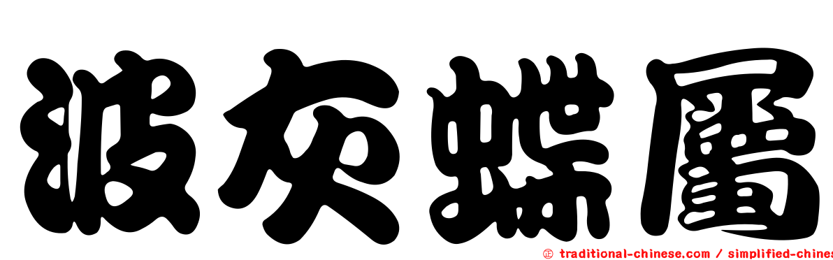 波灰蝶屬