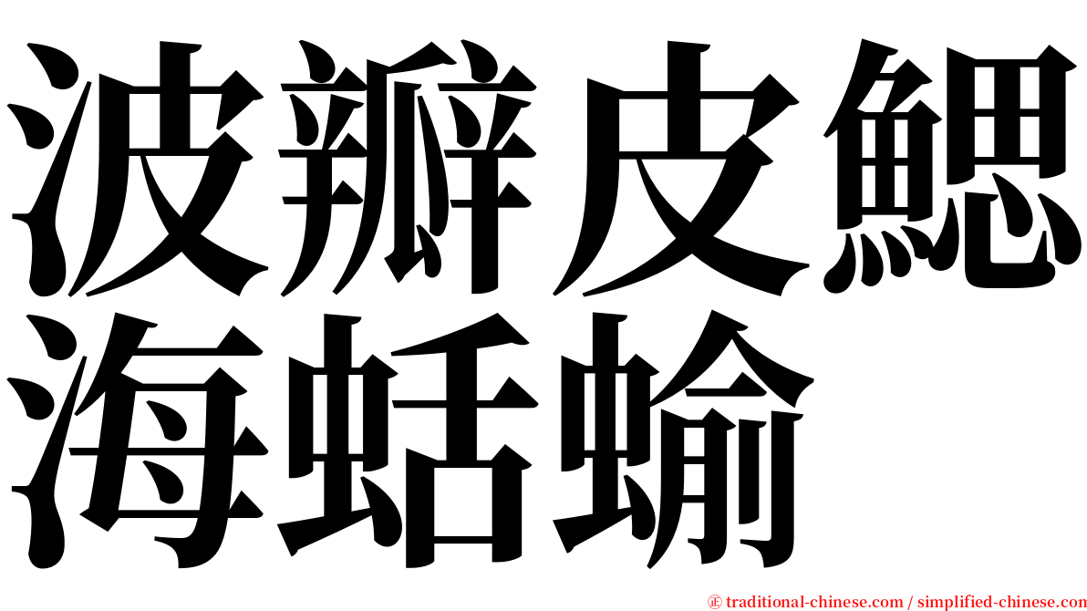 波瓣皮鰓海蛞蝓 serif font