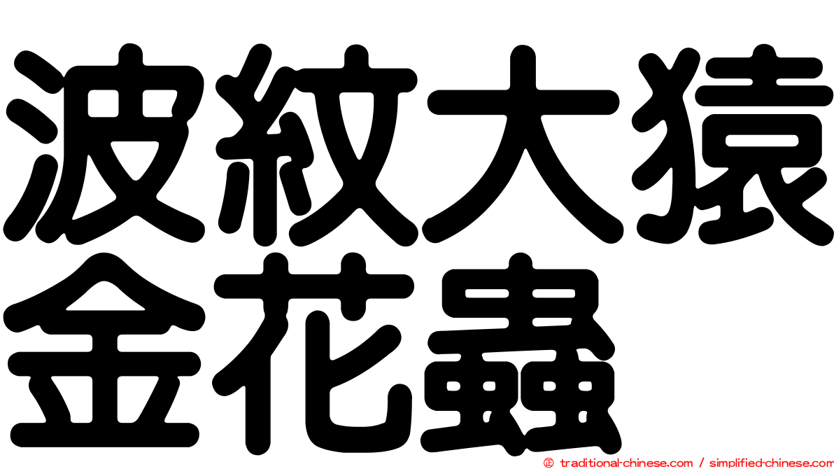 波紋大猿金花蟲