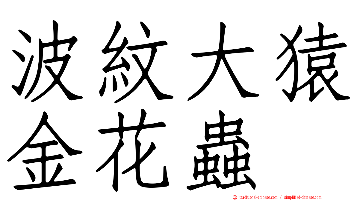 波紋大猿金花蟲