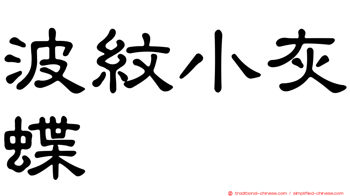 波紋小灰蝶