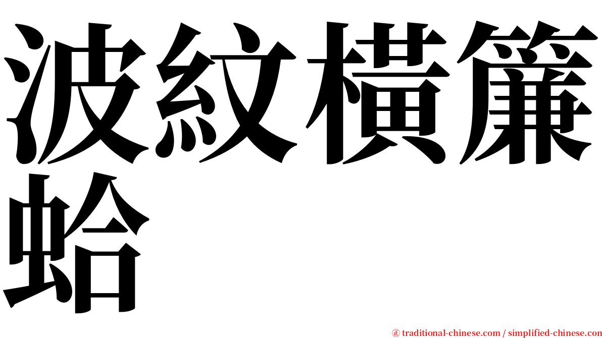波紋橫簾蛤 serif font