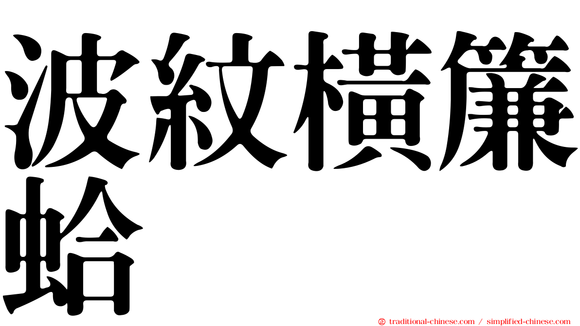波紋橫簾蛤