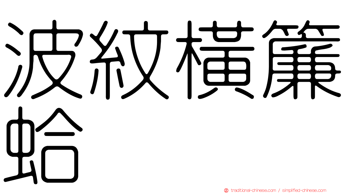 波紋橫簾蛤