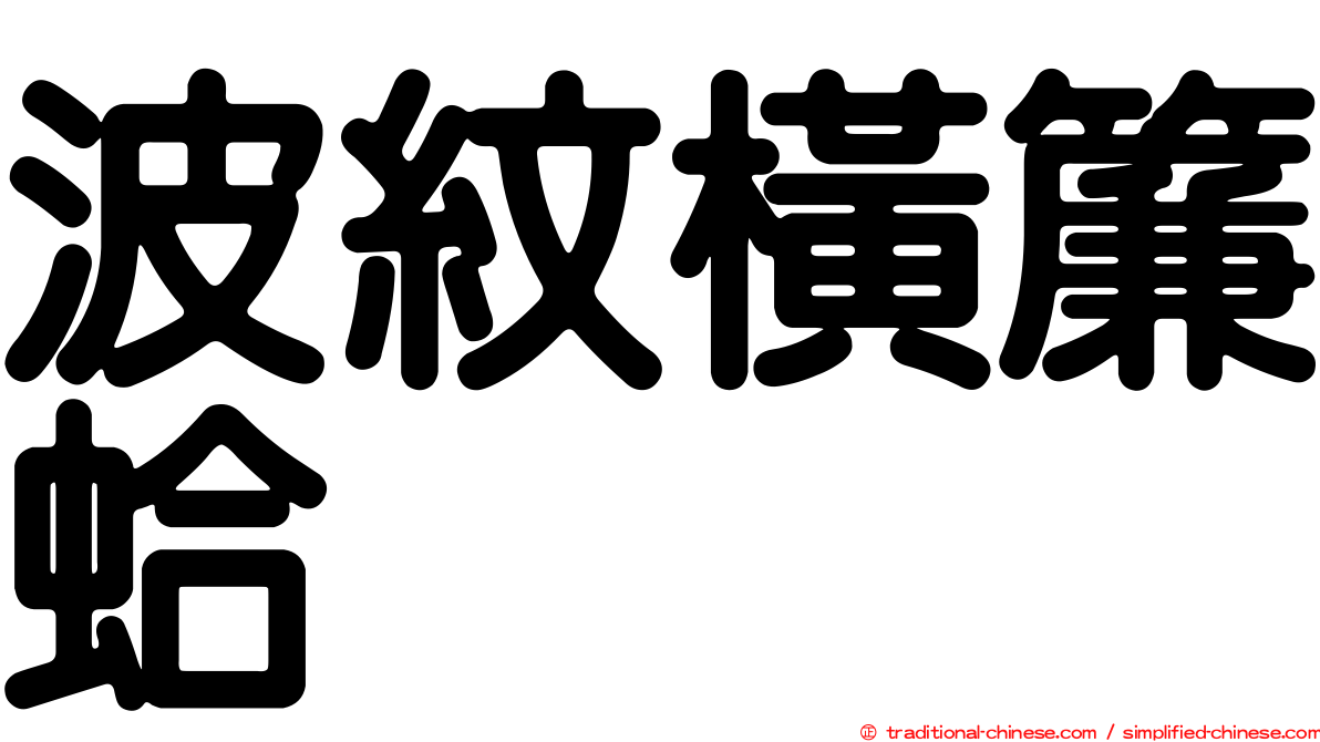 波紋橫簾蛤