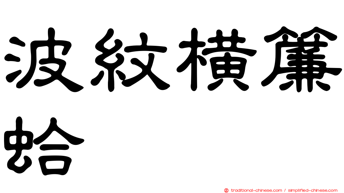 波紋橫簾蛤