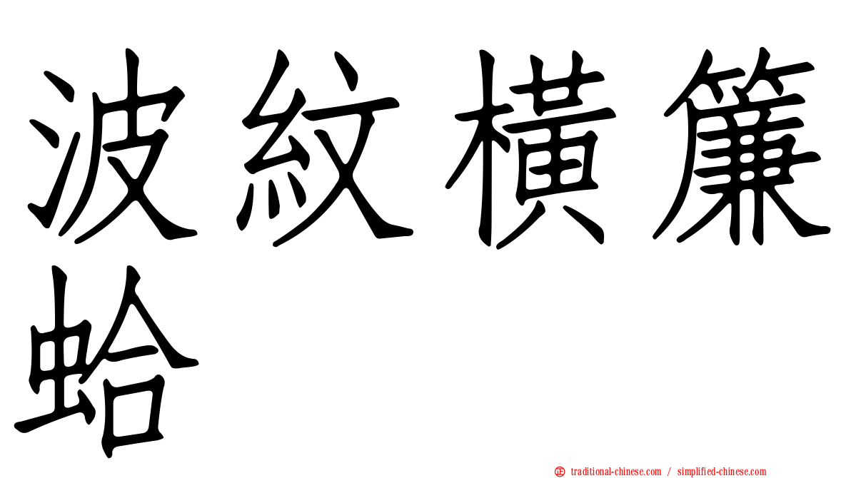 波紋橫簾蛤