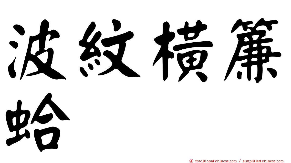 波紋橫簾蛤