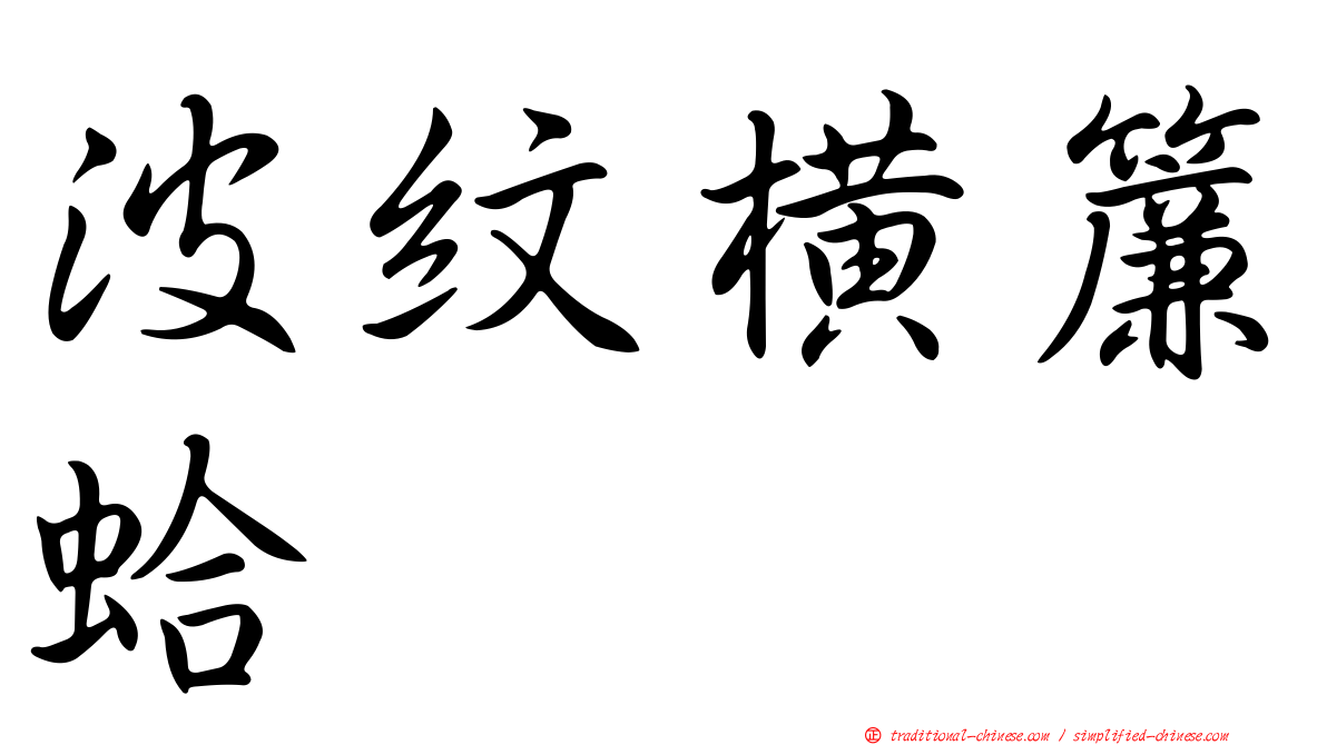 波紋橫簾蛤