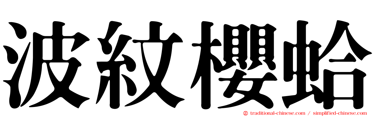 波紋櫻蛤