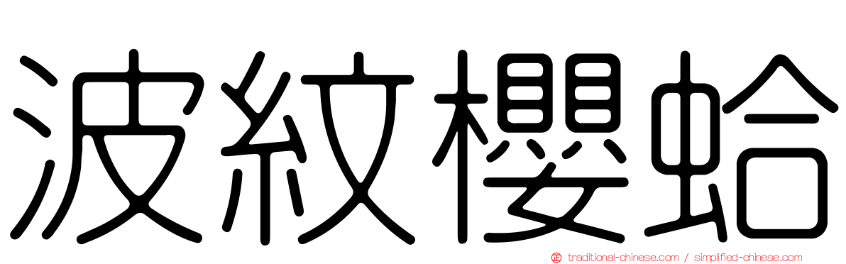 波紋櫻蛤