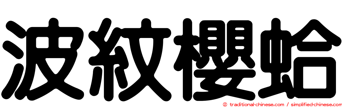 波紋櫻蛤