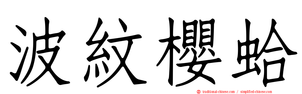 波紋櫻蛤