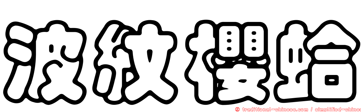 波紋櫻蛤