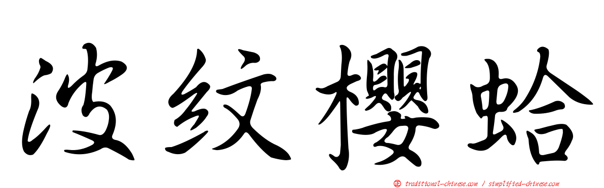 波紋櫻蛤