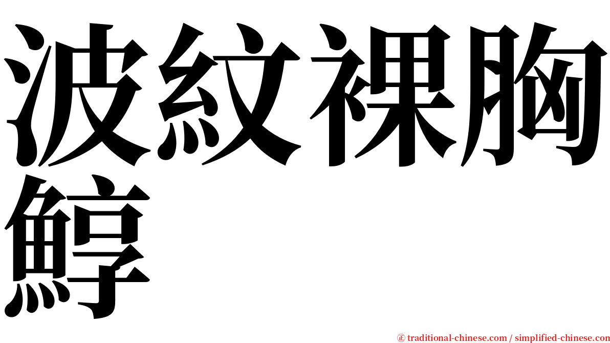 波紋裸胸鯙 serif font