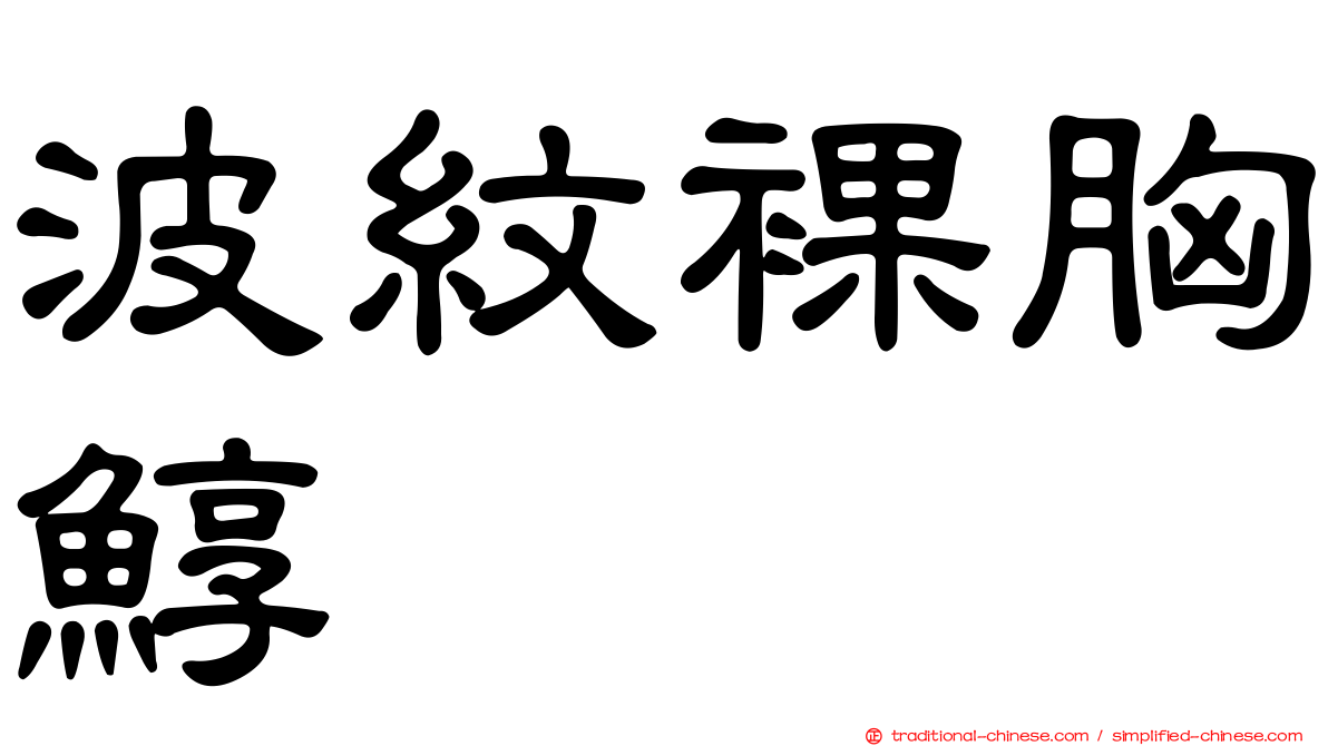 波紋裸胸鯙
