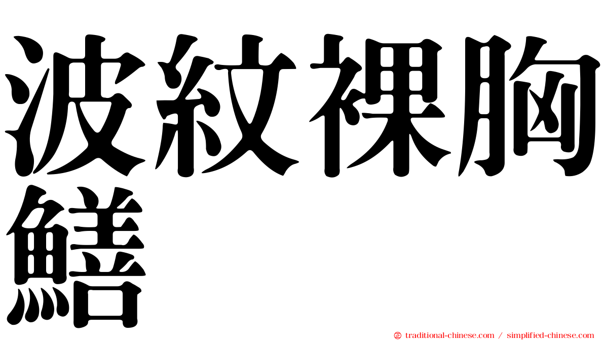 波紋裸胸鱔