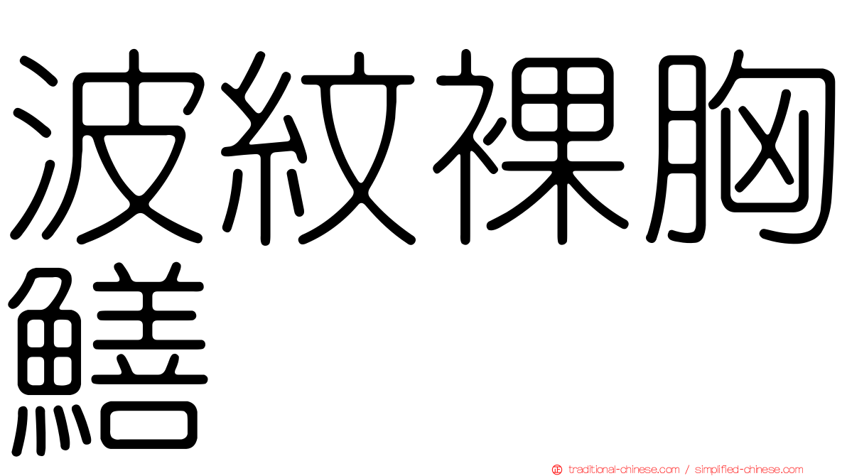 波紋裸胸鱔