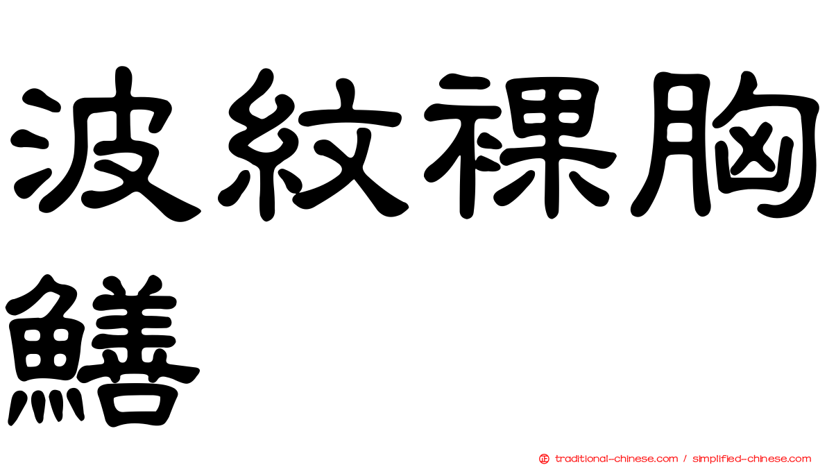 波紋裸胸鱔