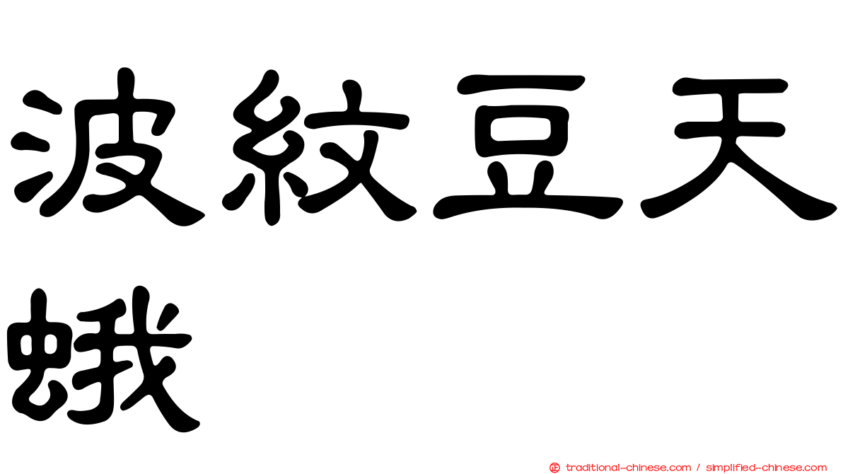 波紋豆天蛾