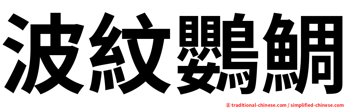 波紋鸚鯛